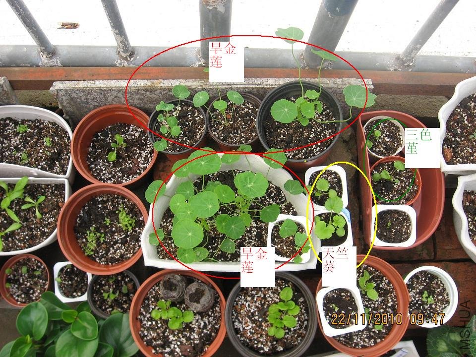 20101122 001.jpg