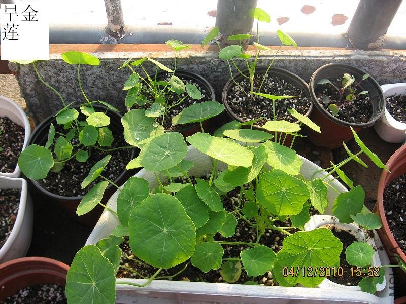 201012 004.jpg
