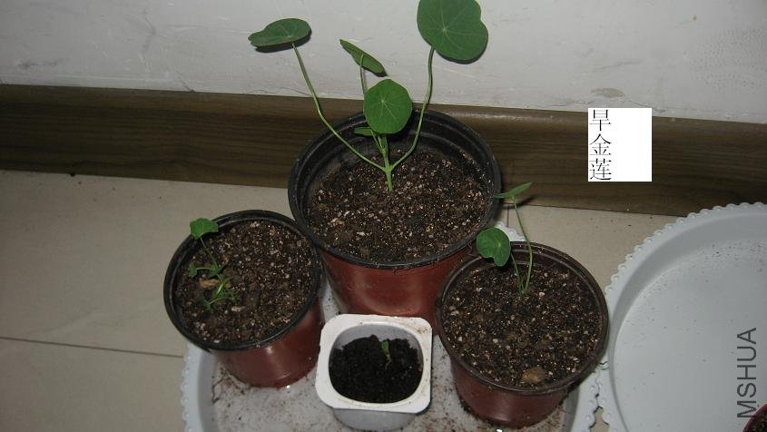 20101110 004.jpg