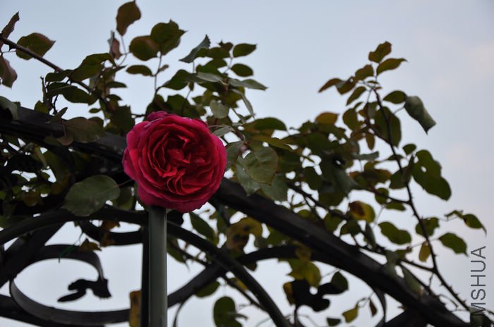 2010.12.23 028.jpg