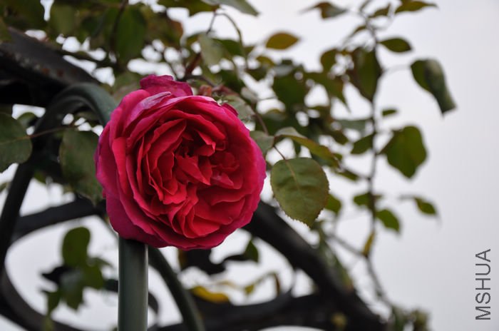 2010.12.23 025.jpg