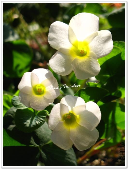 nEO_IMG_101223 005.jpg