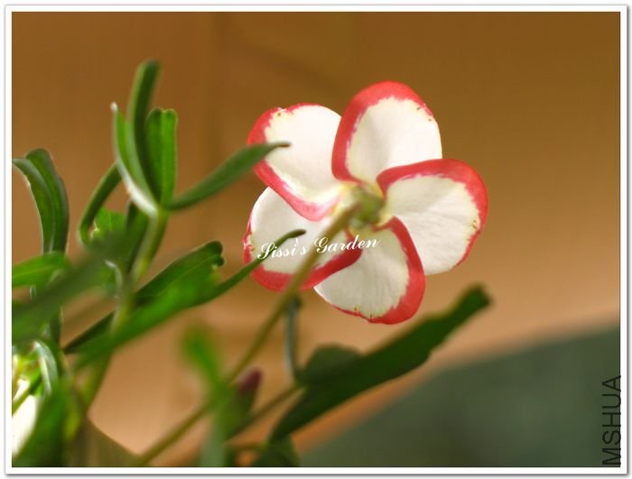 nEO_IMG_101223 001.jpg