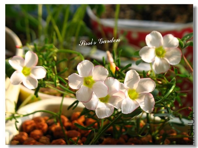 nEO-IMG-101223 017.jpg