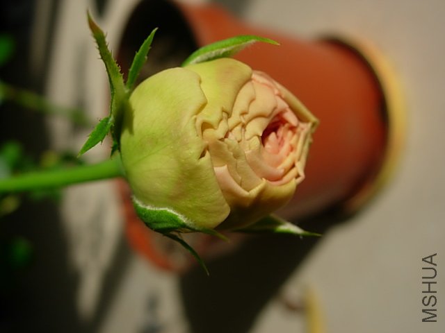 �¼� 004.jpg