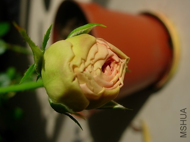 �¼� 005.jpg