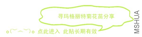 ǩ��.jpg