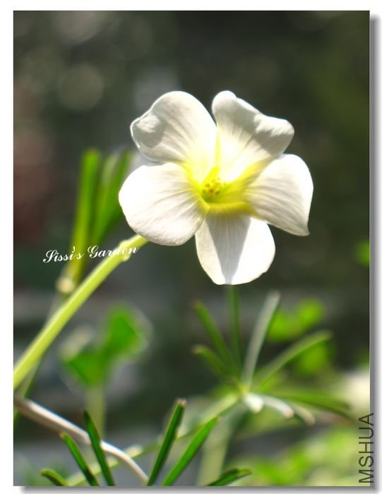 nEO_IMG_101227 010.jpg