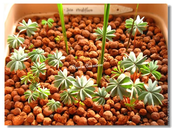 nEO_IMG_101227 004.jpg