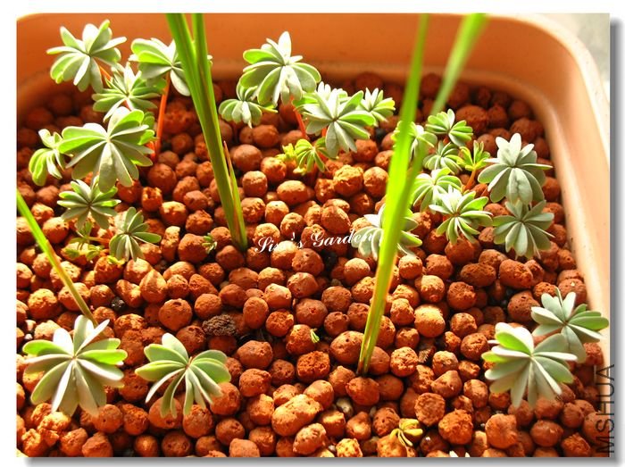 nEO_IMG_101227 001.jpg