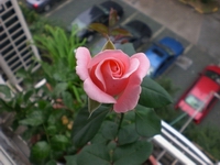CIMG6209.JPG