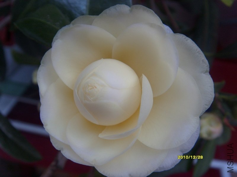 S73R1367-0.jpg