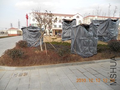 002.JPG