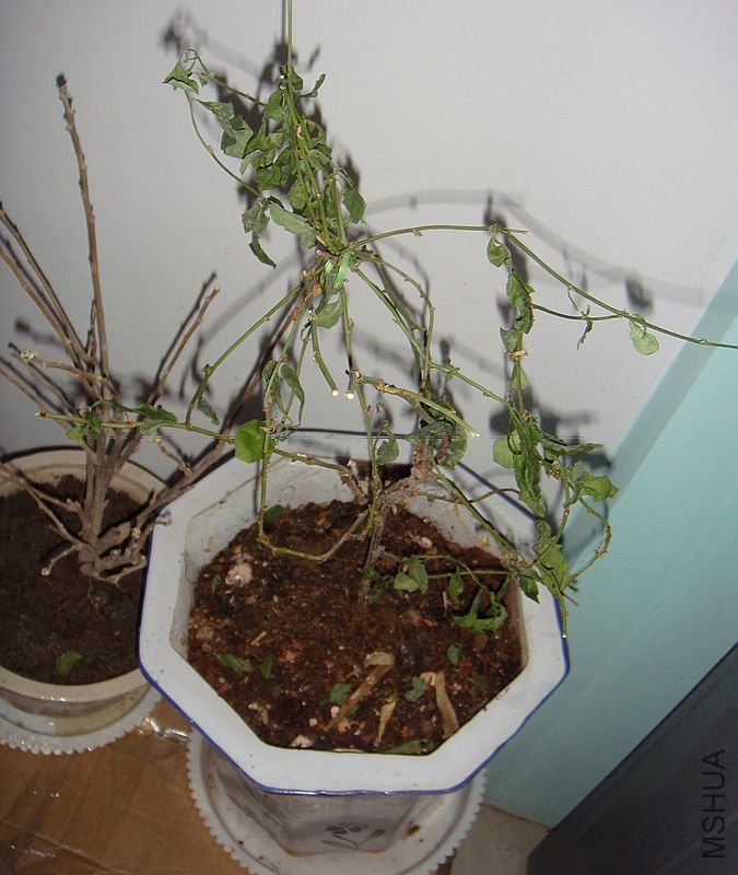DSC05574.JPG