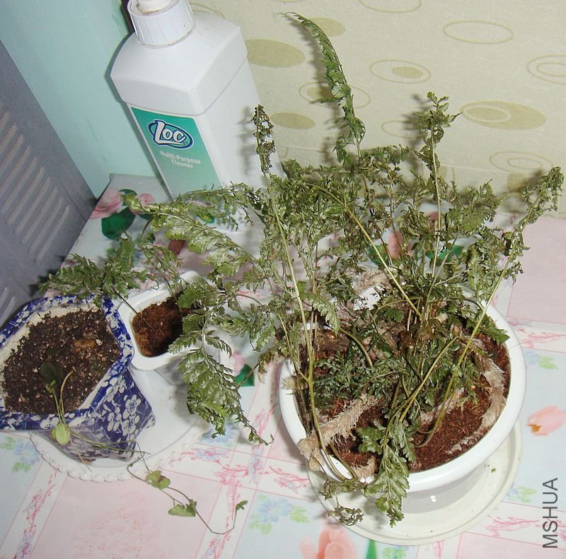DSC05576.JPG