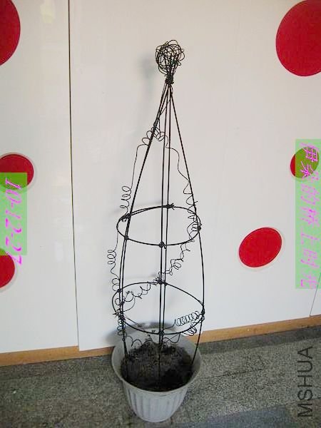 nEO_IMG_��Ƭ 072.jpg