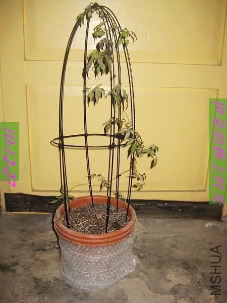 nEO_IMG_��Ƭ 078.jpg