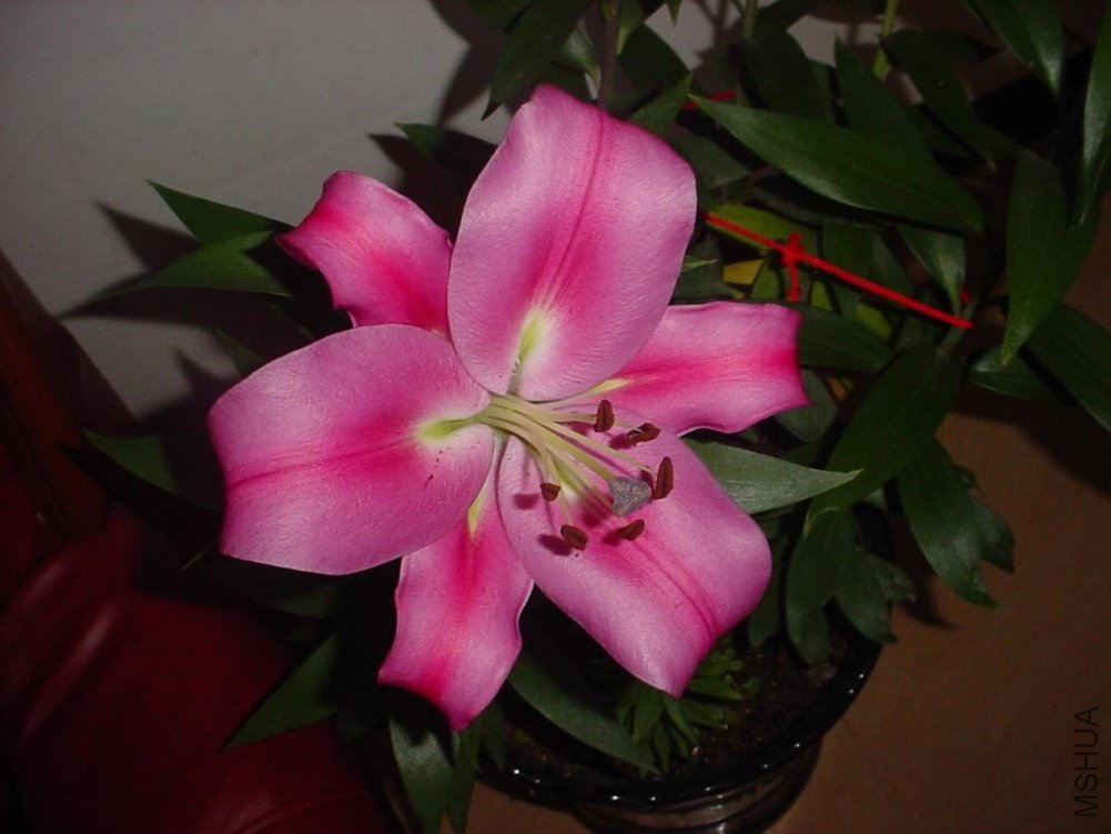 DSC01063.JPG
