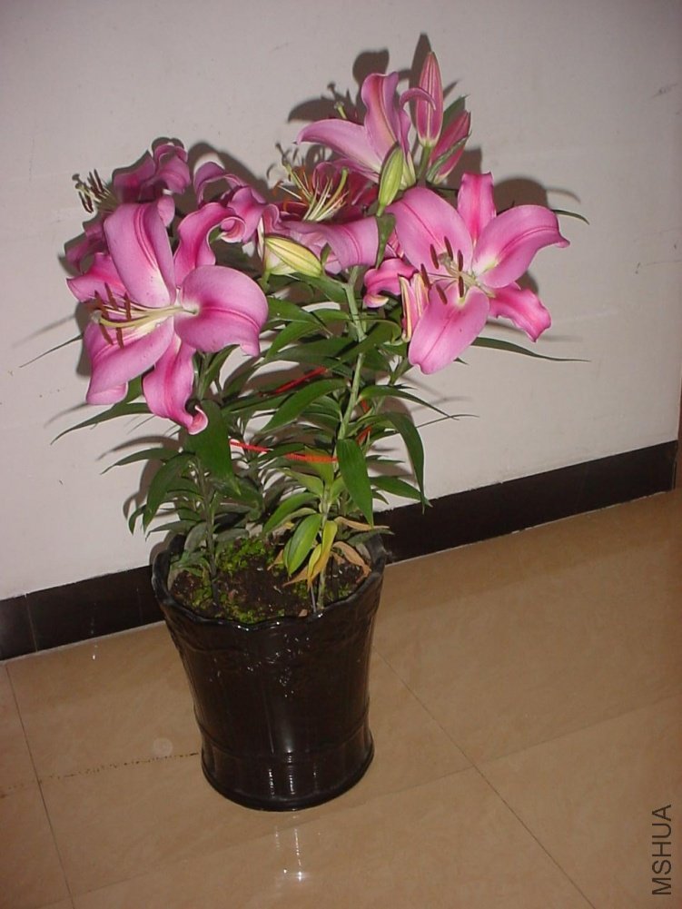 DSC01064.JPG