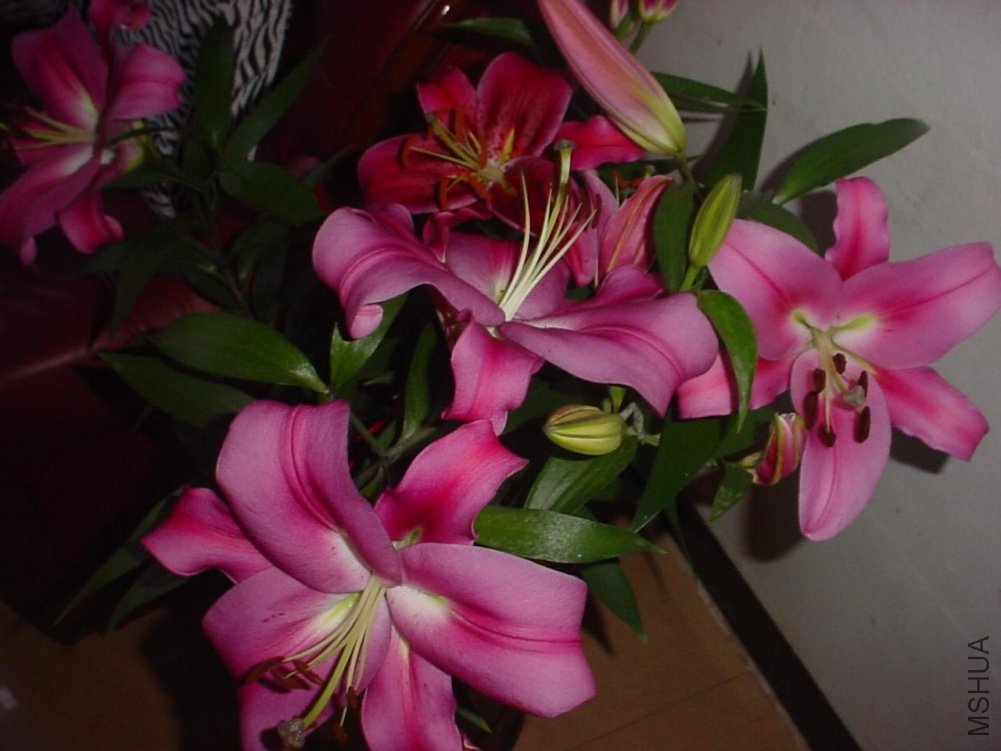 DSC01062.JPG