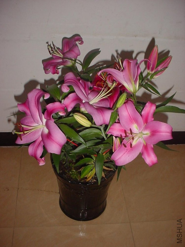 DSC01066.JPG