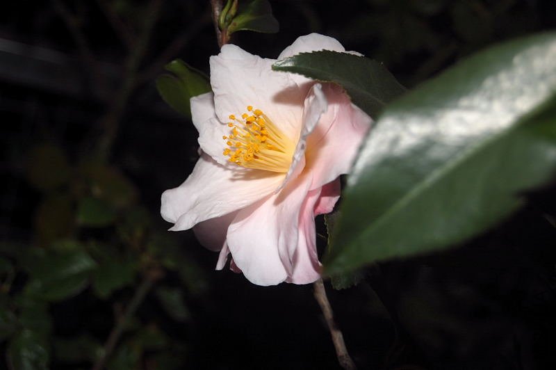 DSC_00220022.JPG