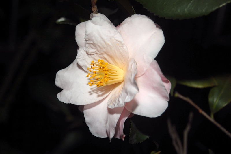 DSC_00290029.JPG