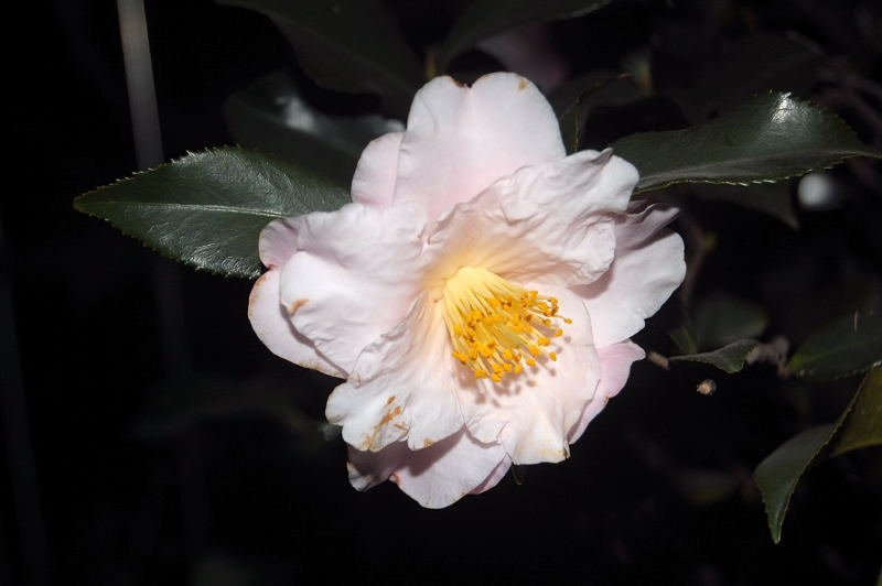 DSC_00250025.JPG