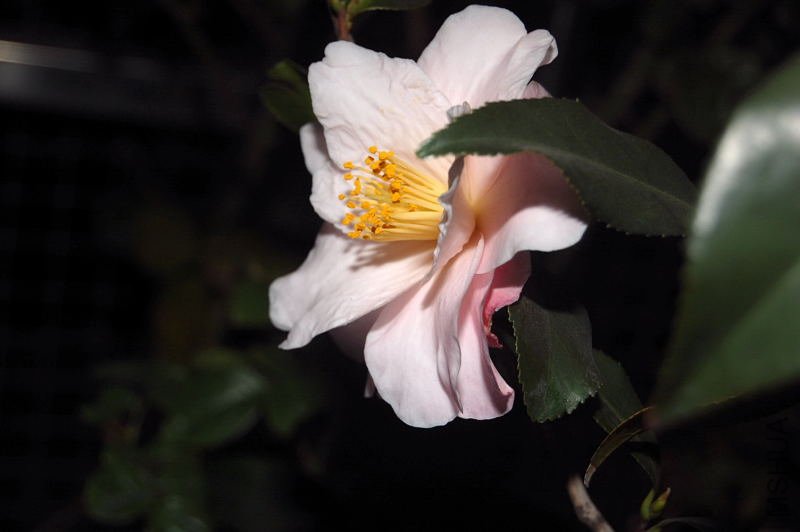 DSC_00270027.JPG