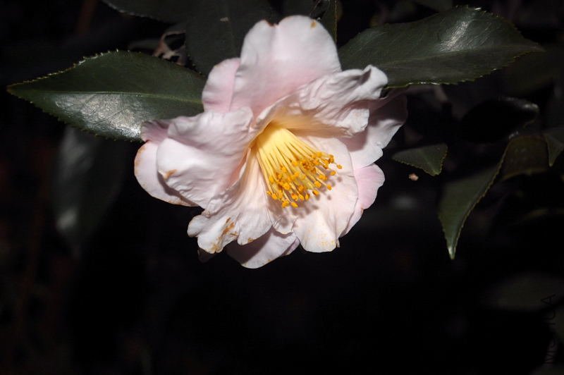 DSC_00240024.JPG