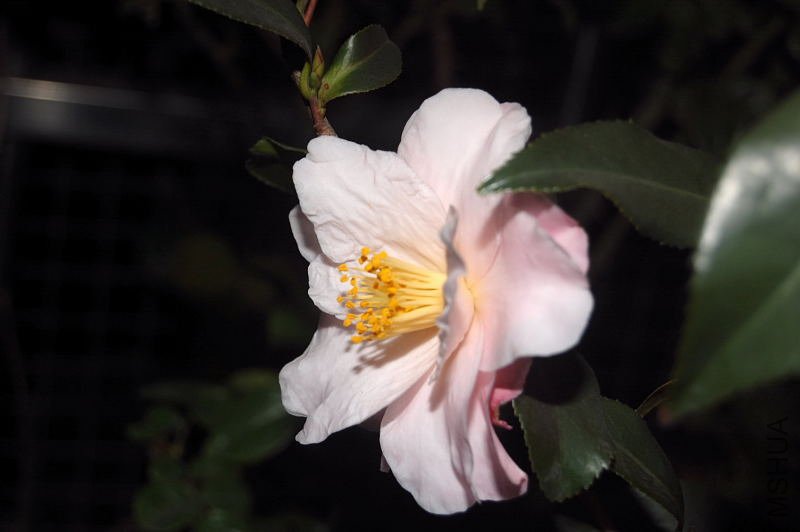 DSC_00210021.JPG