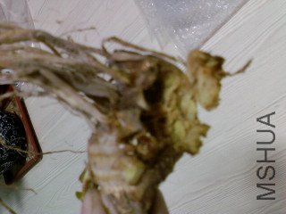 ��Ƭ-0050.jpg