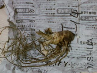 ��Ƭ-0056.jpg