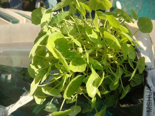 ���������Ѿ��л�����