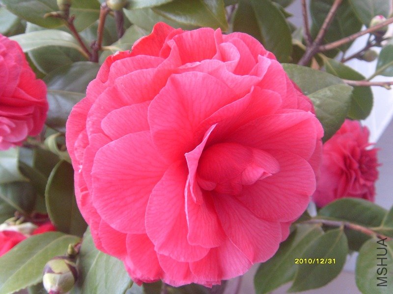 S73R1384B-2.jpg