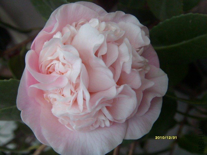 S73R1387L-2.jpg