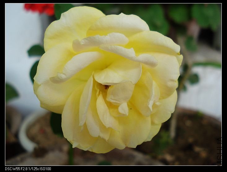 nEO_IMG_DSC00560.jpg