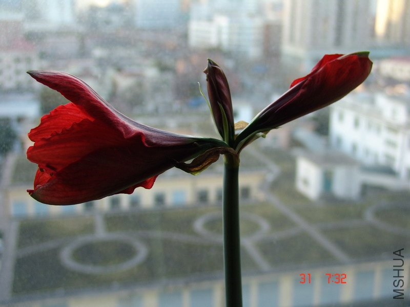 DSC06949_��С��С.JPG