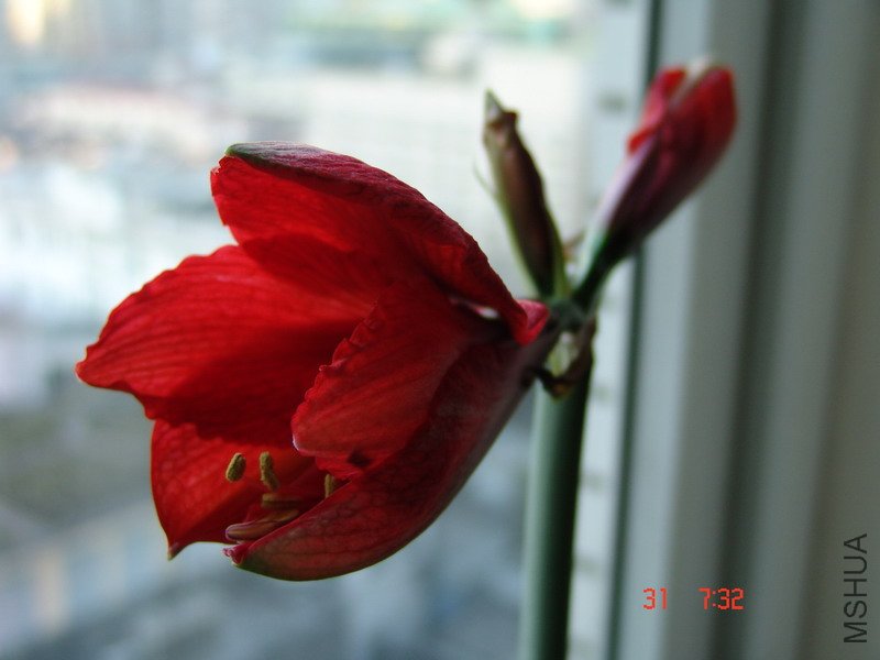 DSC06950_��С��С.JPG