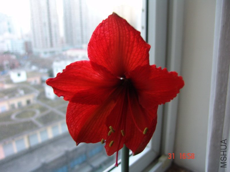 DSC06961_��С��С.JPG