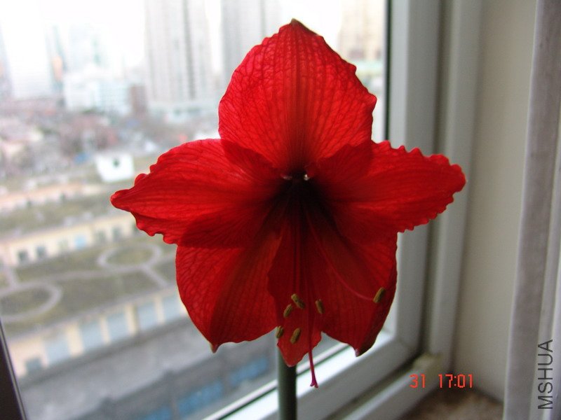 DSC06966_��С��С.JPG