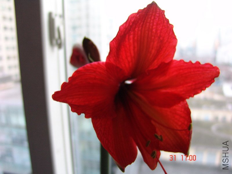 DSC06965_��С��С.JPG