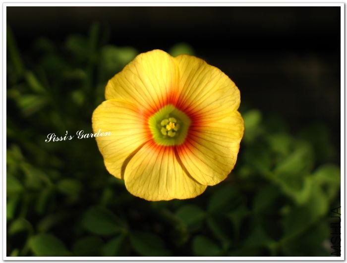 nEO_IMG_110101 003.jpg