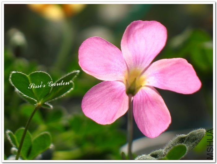 nEO_IMG_110101 022.jpg