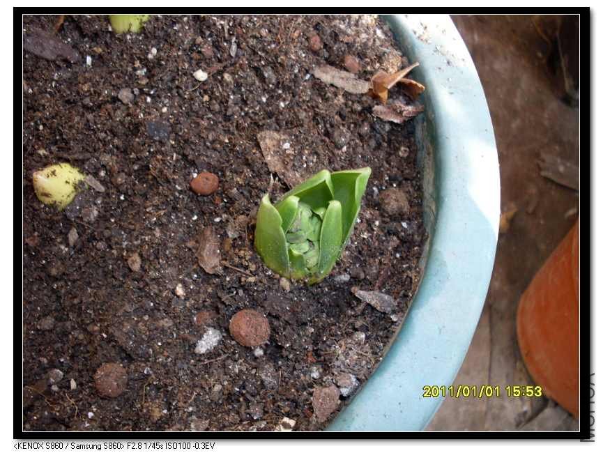 SDC16641_nEO_IMG.jpg