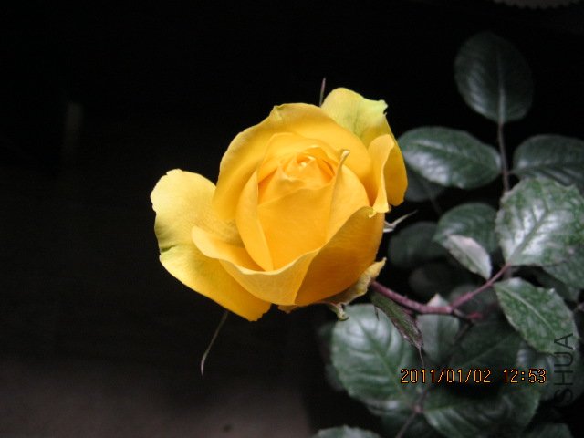 IMG_0316.JPG