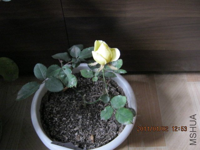 IMG_0313.JPG