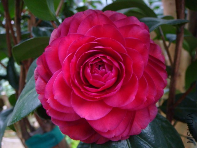 ��ȫ������