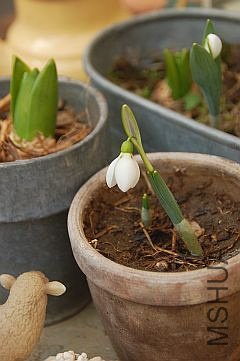who know its name.jpg