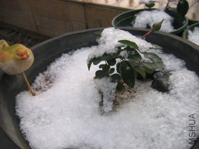 ��Ƭ 1240.jpg